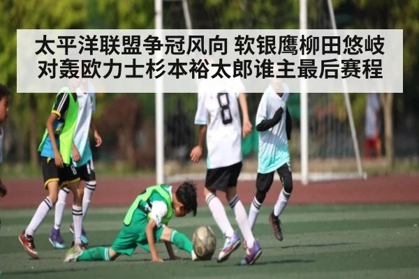 太平洋联盟争冠风向 软银鹰柳田悠岐对轰欧力士杉本裕太郎谁主最后赛程